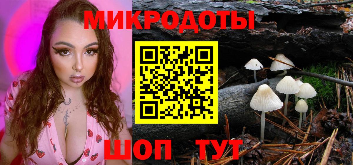 Галлюциногенные грибы мицелий Россия