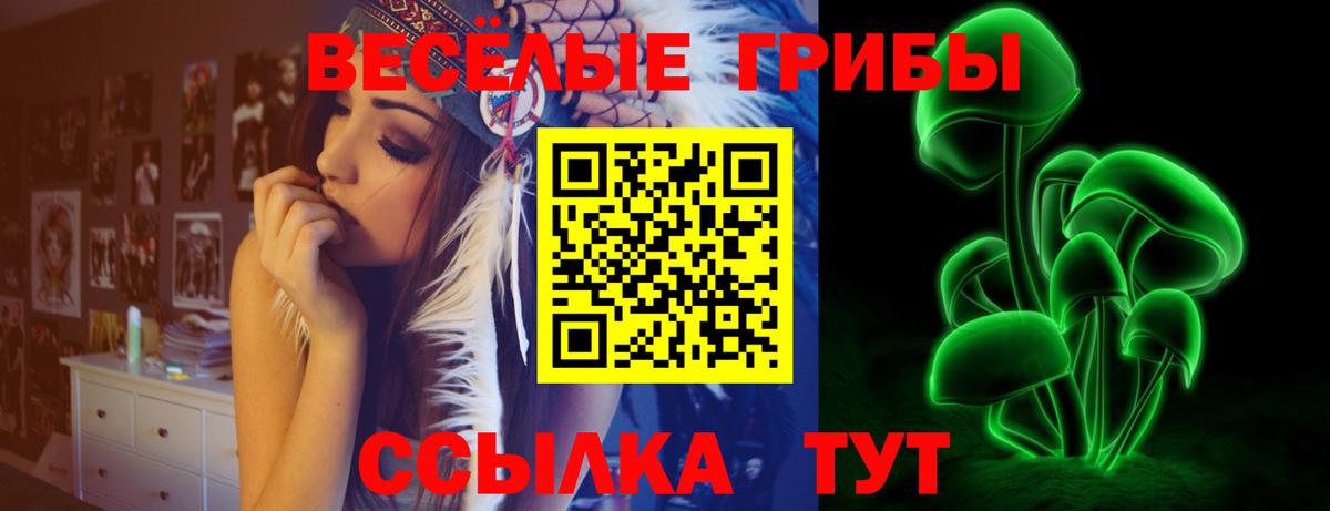 Россия  Псилоцибиновые грибы мицелий  Вход с VPN  Псилоцибиновые грибы прущие грибы 